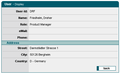 Screenshot: Formulare, DisplayForm